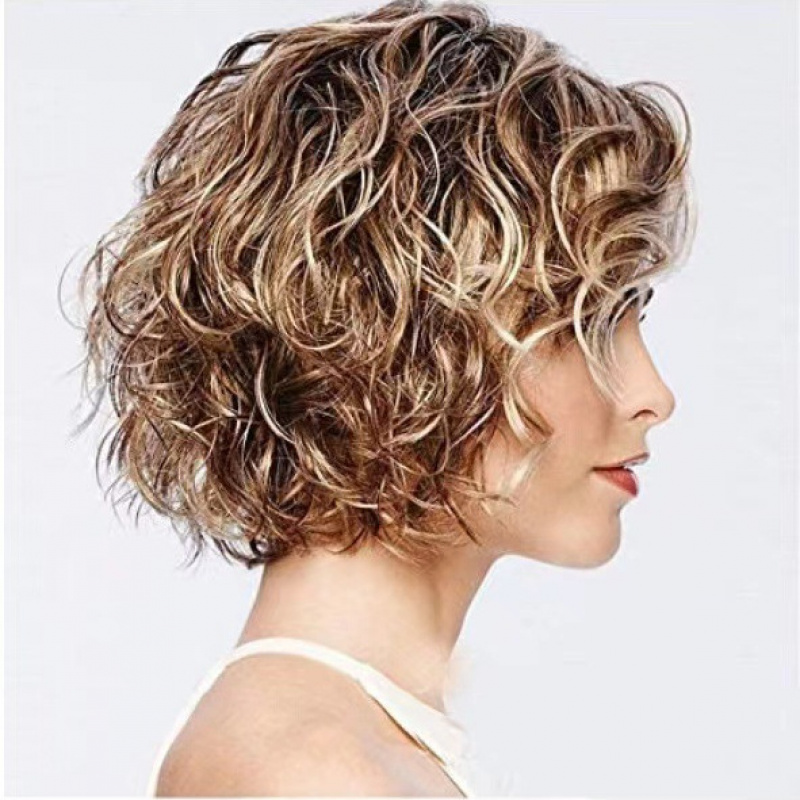 European and American Style Wi – Wig Fiber Net Bewertung und Preis